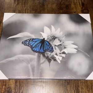 Biuteawal Flower/Butterfly Canvas Wall Art Multi Color *NEW*